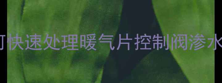 图片 暖气片阀门漏水应急指南如何快速处理暖气片控制阀渗水？维修步骤+预防妙招全公开