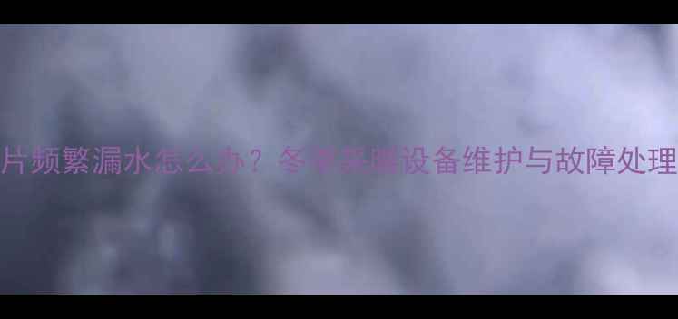 暖气片频繁漏水怎么办冬季采暖设备维护与故障处理指南