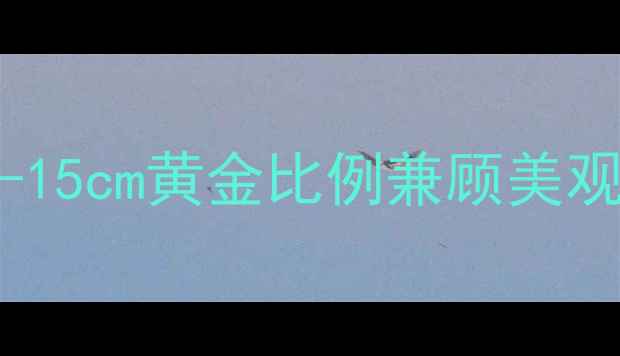 暖气片高度选择指南10-15cm黄金比例兼顾美观与散热家居采暖新趋势