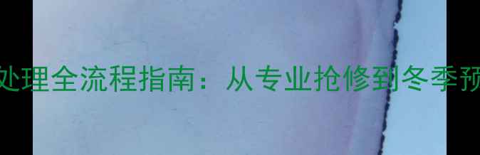 暖气管道爆裂应急处理全流程指南从专业抢修到冬季预防的完整解决方案