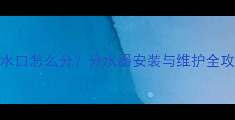 图片 暖气系统进出水口怎么分？分水器安装与维护全攻略（附图解）