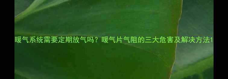 暖气系统需要定期放气吗暖气片气阻的三大危害及解决方法