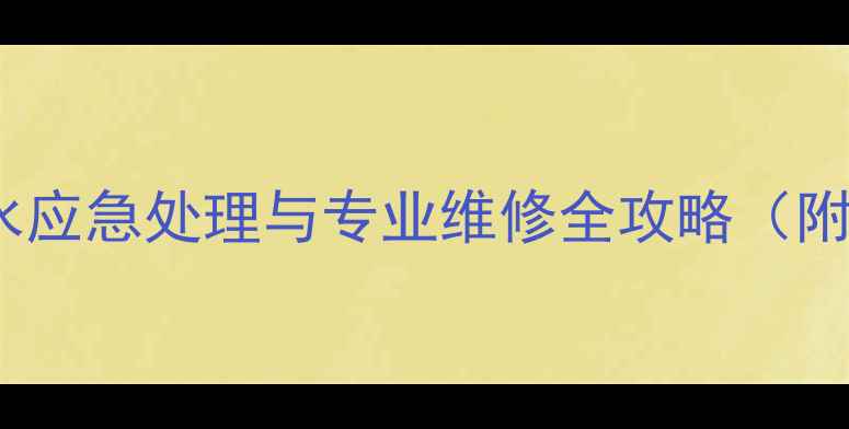 暖气老阀门漏水应急处理与专业维修全攻略附详细步骤图