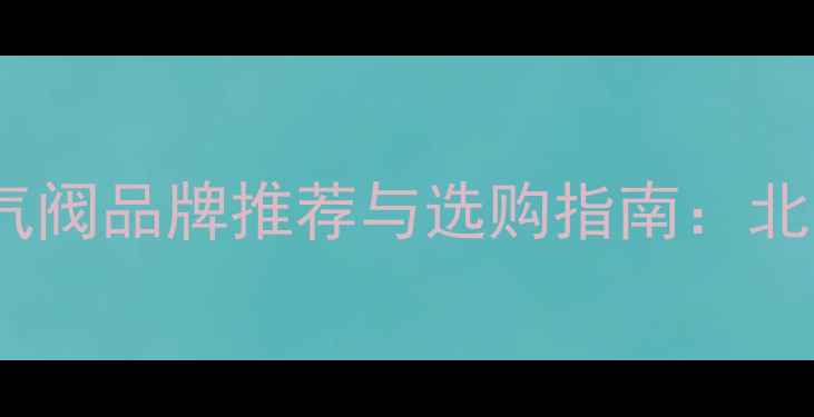 暖气自动排气阀品牌推荐与选购指南北京地区专业