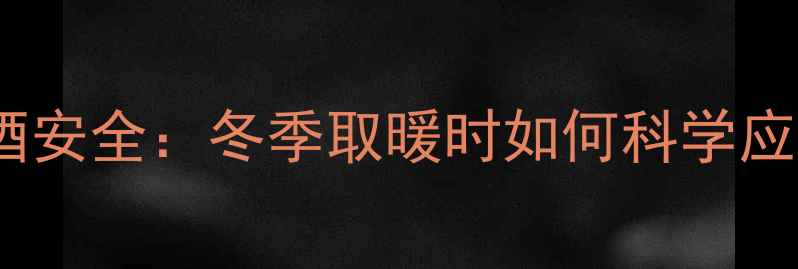 图片 暖气设备与饮酒安全：冬季取暖时如何科学应对饮酒需求？2