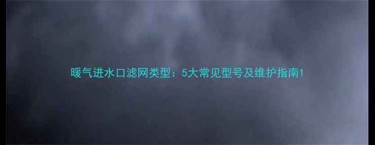 暖气进水口滤网类型5大常见型号及维护指南