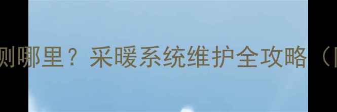 图片 暖气进水温度应该测哪里？采暖系统维护全攻略（附精准测量方法）1
