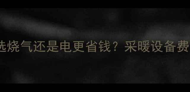 图片 暖气选烧气还是电更省钱？采暖设备费用全1