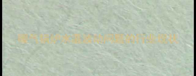 暖气锅炉水温波动问题的行业现状