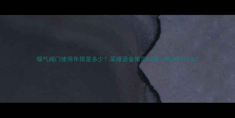图片 暖气阀门使用年限是多少？采暖设备常见问题与维护技巧全1