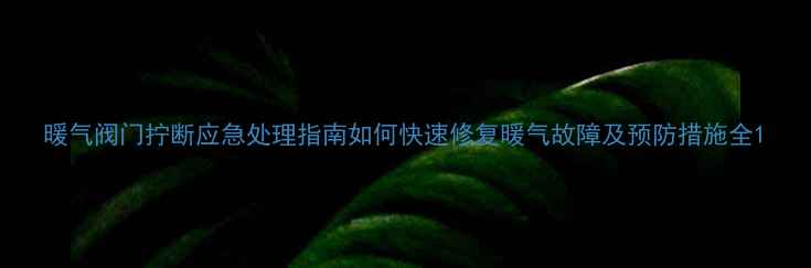 图片 暖气阀门拧断应急处理指南如何快速修复暖气故障及预防措施全1