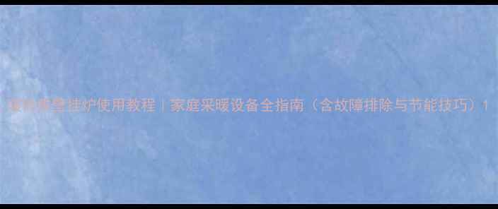 暖而雅壁挂炉使用教程家庭采暖设备全指南含故障排除与节能技巧