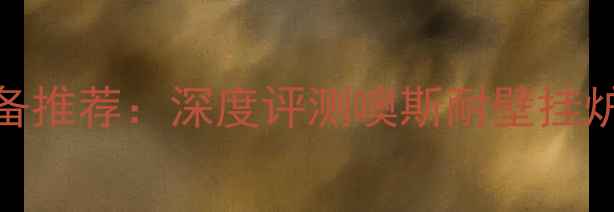 最佳采暖设备推荐深度评测噢斯耐壁挂炉性能与质量
