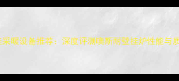 图片 最佳采暖设备推荐：深度评测噢斯耐壁挂炉性能与质量1