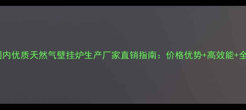 图片 最新国内优质天然气壁挂炉生产厂家直销指南：价格优势+高效能+全流程2