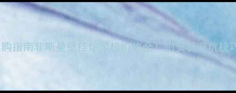 图片 最新报价+选购指南非斯曼壁挂炉风机价格全！附安装避坑技巧和品牌对比