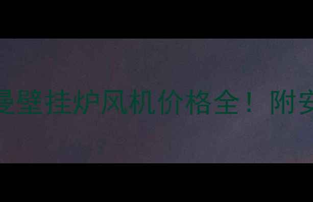 图片 最新报价+选购指南非斯曼壁挂炉风机价格全！附安装避坑技巧和品牌对比1