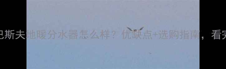 图片 最新测评巴斯夫地暖分水器怎么样？优缺点+选购指南，看完再决定！
