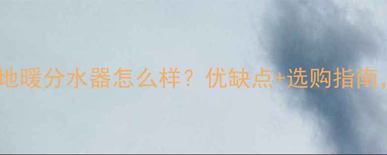 图片 最新测评巴斯夫地暖分水器怎么样？优缺点+选购指南，看完再决定！1
