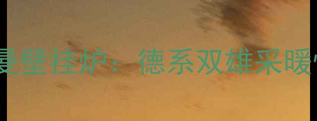 图片 最新评测博世VS菲斯曼壁挂炉：德系双雄采暖性能、能效与售后全1