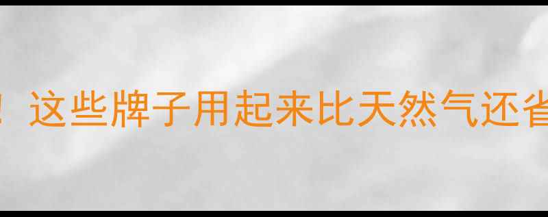 图片 最省气的暖气推荐！这些牌子用起来比天然气还省钱，南方家庭必看