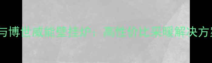 林内与博世威能壁挂炉高性价比采暖解决方案全