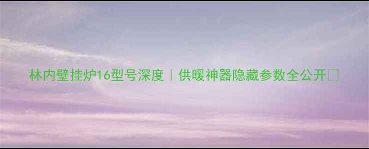 图片 林内壁挂炉16型号深度｜供暖神器隐藏参数全公开✨