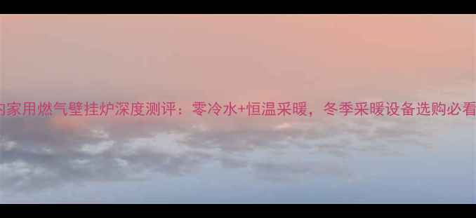 图片 林内家用燃气壁挂炉深度测评：零冷水+恒温采暖，冬季采暖设备选购必看！2