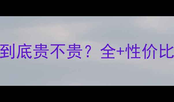 林内暖气片安装到底贵不贵全性价比对比避坑指南