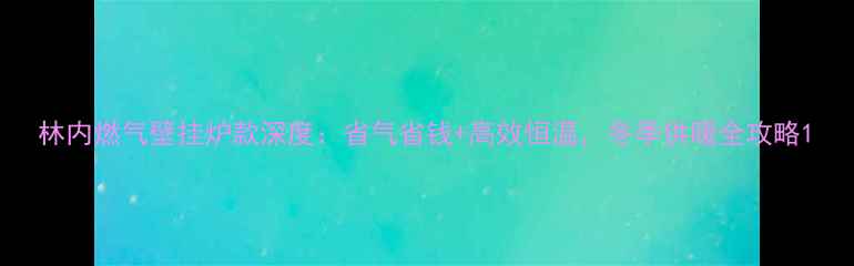 林内燃气壁挂炉款深度省气省钱高效恒温冬季供暖全攻略