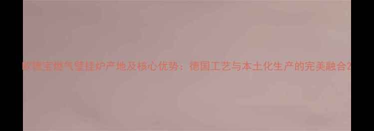 欧德宝燃气壁挂炉产地及核心优势德国工艺与本土化生产的完美融合