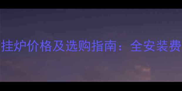 图片 欧德宝燃气壁挂炉价格及选购指南：全安装费用与能效对比