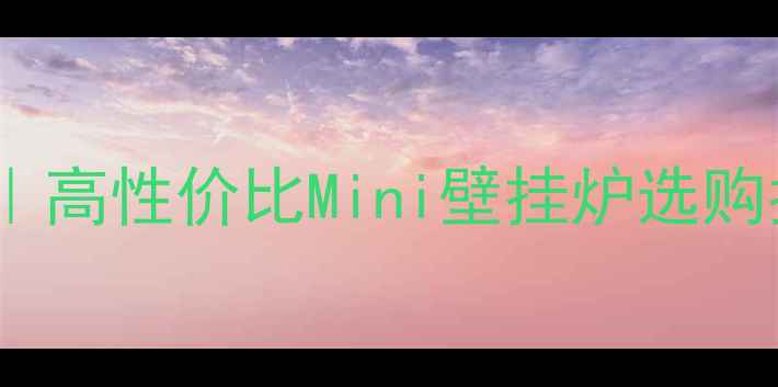 图片 欧洲进口壁挂炉推荐｜高性价比Mini壁挂炉选购指南｜冬季采暖神器1