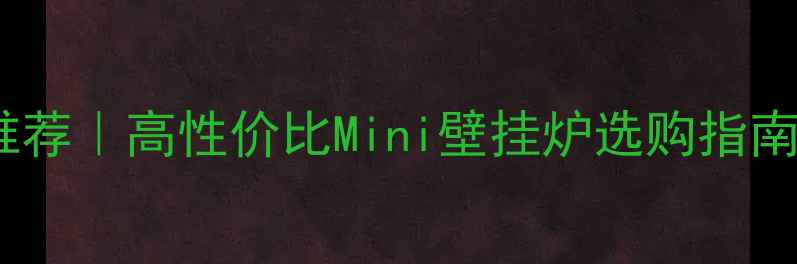 图片 欧洲进口壁挂炉推荐｜高性价比Mini壁挂炉选购指南｜冬季采暖神器2