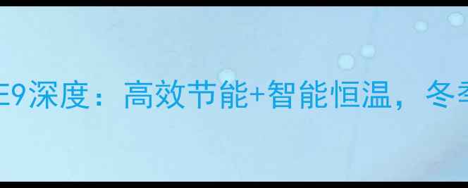 图片 款燃气壁挂炉E9深度：高效节能+智能恒温，冬季采暖新选择2