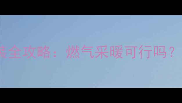 图片 武汉家庭暖气安装全攻略：燃气采暖可行吗？技术与避坑指南2