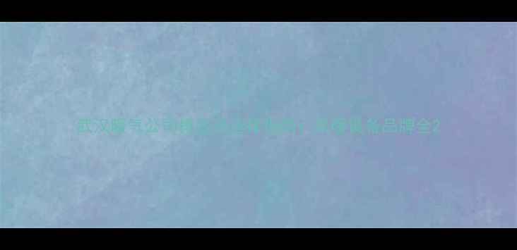 武汉暖气公司排名及选择指南采暖设备品牌全