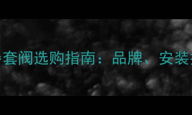 水暖地暖分水器套阀选购指南品牌安装技巧与省钱攻略