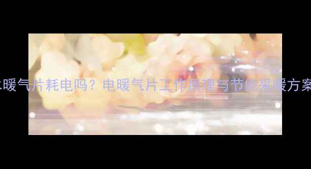 图片 水暖气片耗电吗？电暖气片工作原理与节能采暖方案1