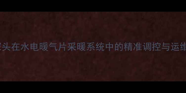 水温探头在水电暖气片采暖系统中的精准调控与运维指南