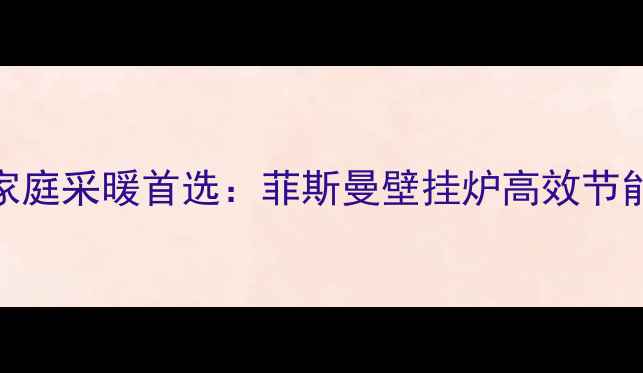 图片 汕尾市家庭采暖首选：菲斯曼壁挂炉高效节能方案全