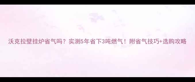 沃克拉壁挂炉省气吗实测5年省下3吨燃气附省气技巧选购攻略