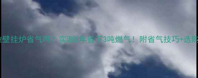 图片 沃克拉壁挂炉省气吗？实测5年省下3吨燃气！附省气技巧+选购攻略1
