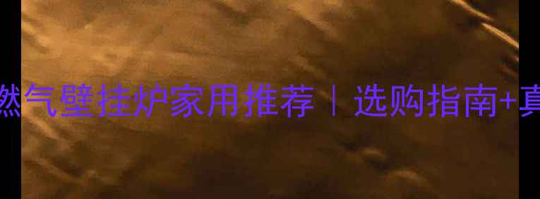 图片 沃尔堡燃气壁挂炉家用推荐｜选购指南+真实价格