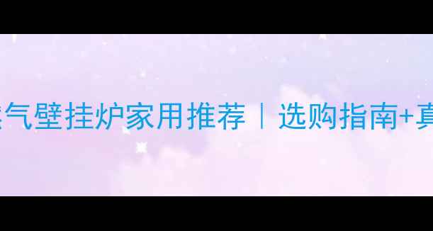 图片 沃尔堡燃气壁挂炉家用推荐｜选购指南+真实价格1