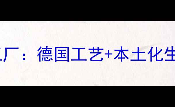 图片 沃尔堡燃气壁挂炉源头工厂：德国工艺+本土化生产打造采暖设备新标杆2