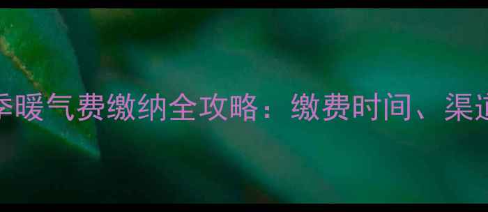 图片 沈阳市-采暖季暖气费缴纳全攻略：缴费时间、渠道与注意事项1