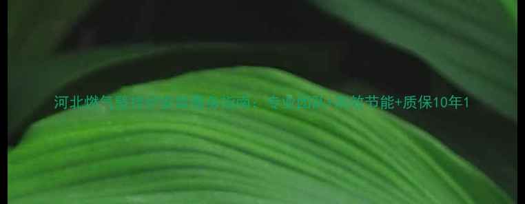 图片 河北燃气壁挂炉安装服务指南：专业团队+高效节能+质保10年1