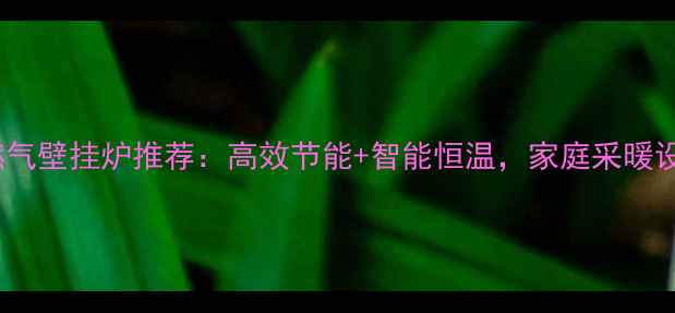 法罗力20燃气壁挂炉推荐高效节能智能恒温家庭采暖设备首选