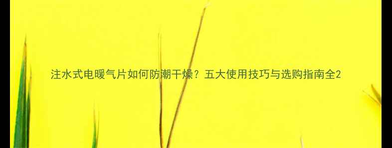 图片 注水式电暖气片如何防潮干燥？五大使用技巧与选购指南全2